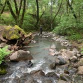 Review photo of Ritchey Creek Campground — Bothe-Napa Valley State Park by Samantha  T., May 26, 2019