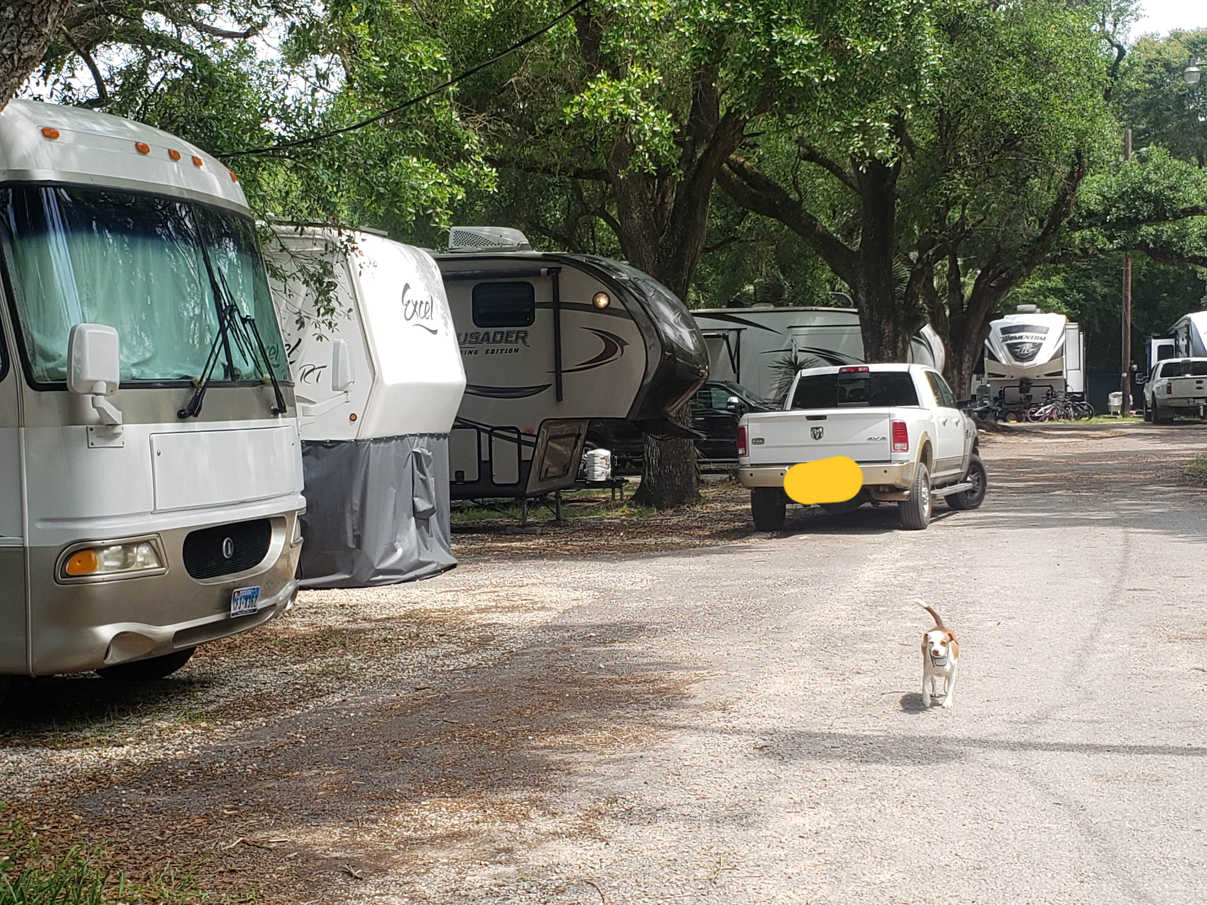Jessica  P.'s photo of rv camping at End Of The Road RV Park near Sabine Pass, TX