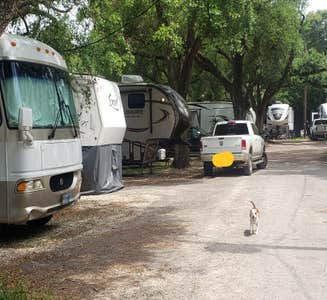 Camper-submitted photo from End Of The Road RV Park 