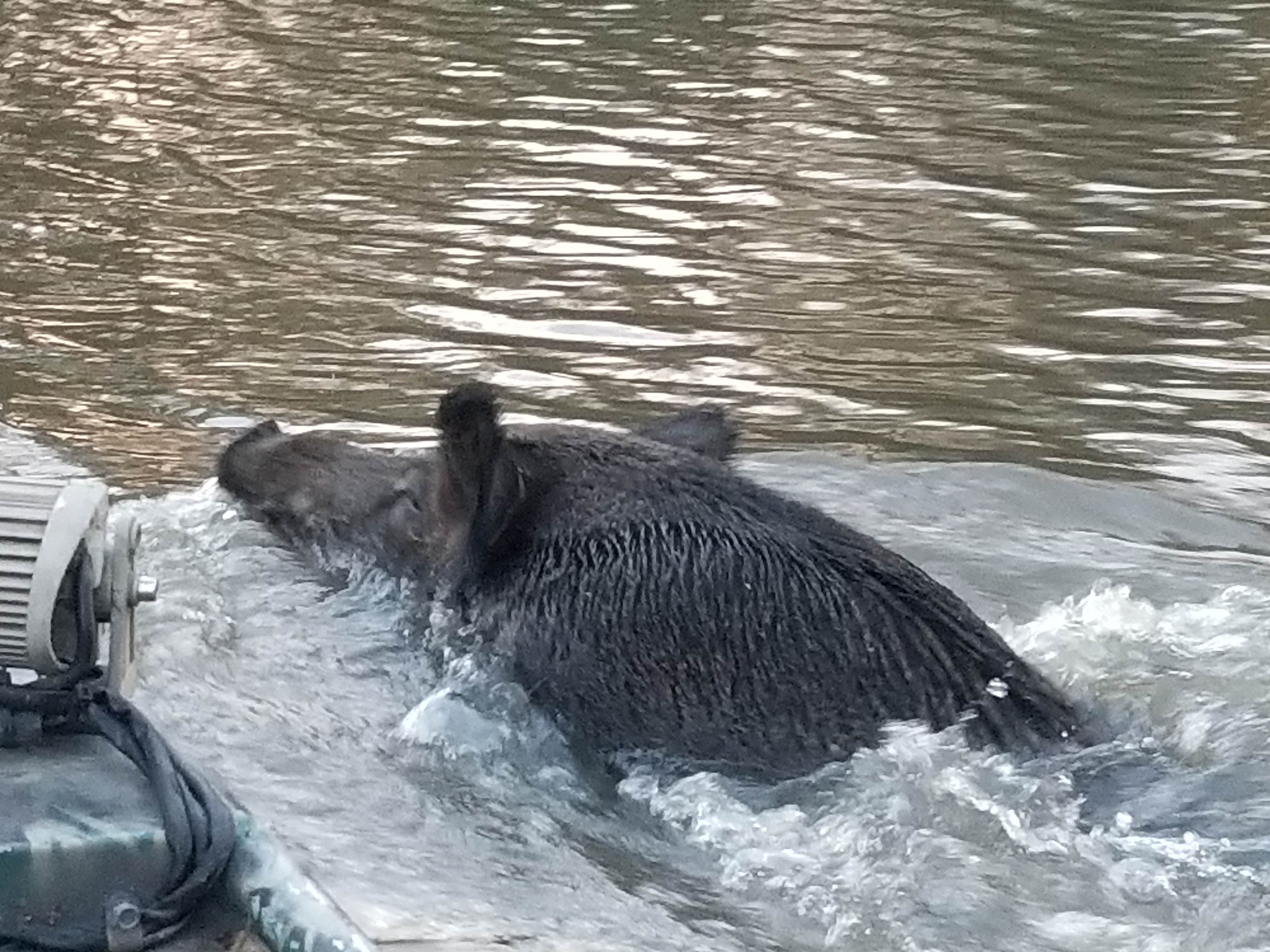 Camper-submitted photo at End Of The Road RV Park near Sabine Pass, TX