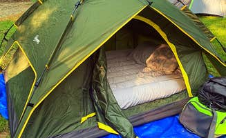 Matt D.'s photo at Helton Creek Campground near Sparta, NC