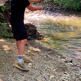 Review photo of Helton Creek Campground by Matt D., May 26, 2019