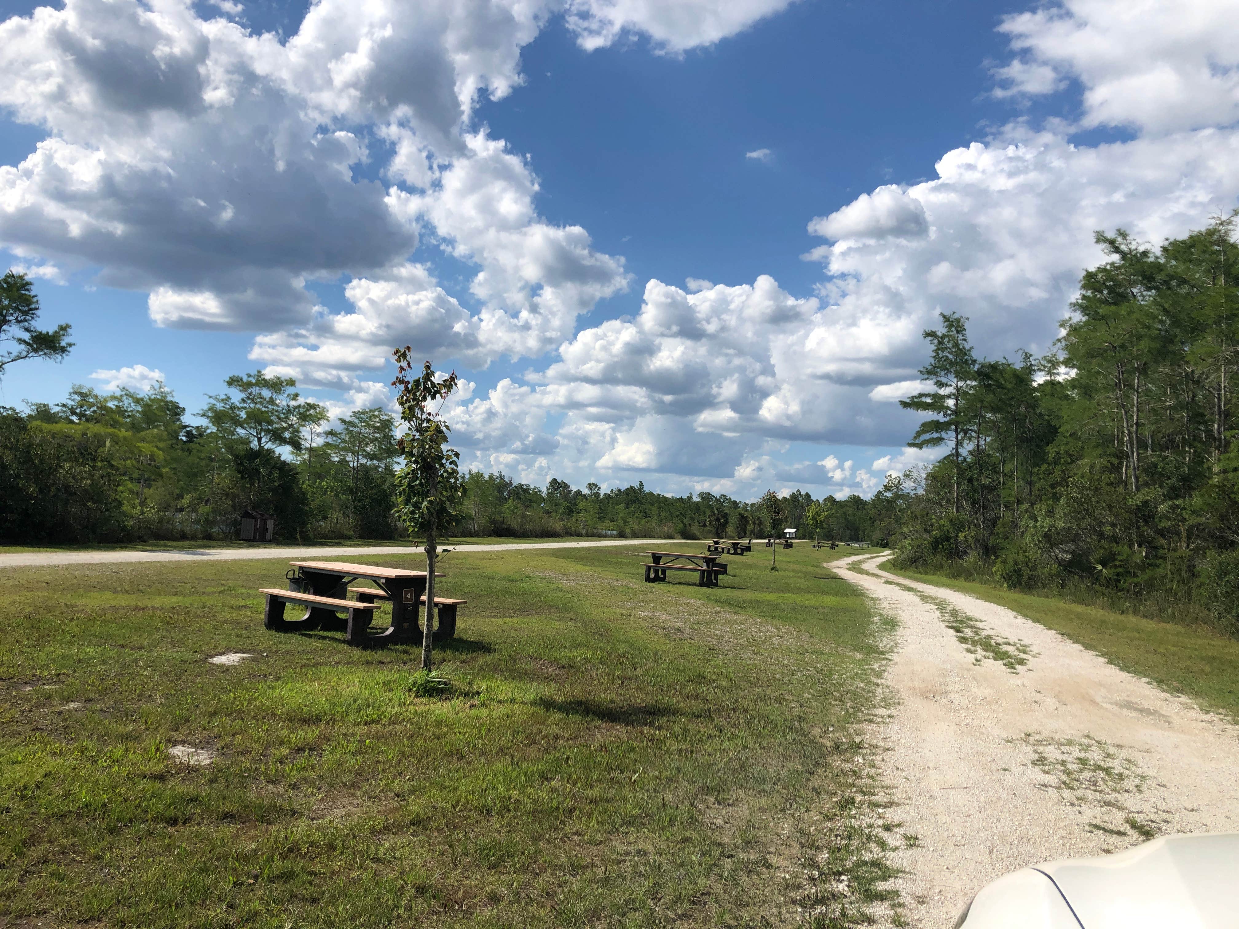 Camper-submitted photo at Burns Lake Campground — Big Cypress National Preserve near Big Cypress National Preserve