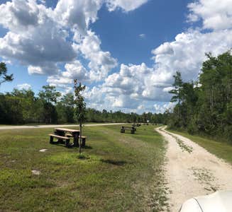 Camper-submitted photo from Burns Lake Campground — Big Cypress National Preserve