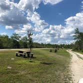 Review photo of Burns Lake Campground — Big Cypress National Preserve by Stephanie Z., May 26, 2019