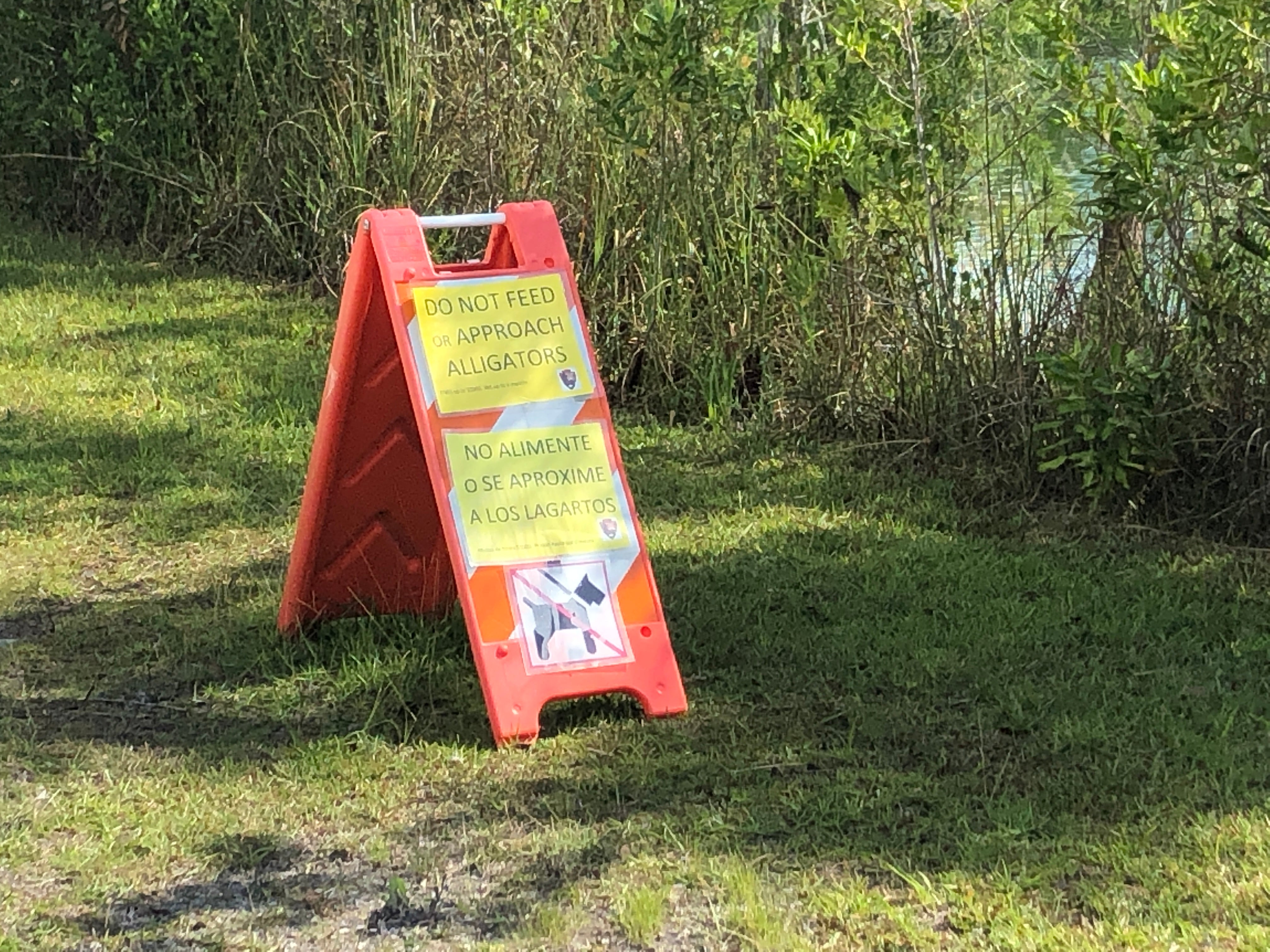 Don't Feed the Gators