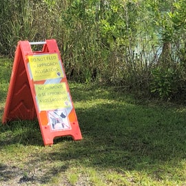 Don't Feed the Gators