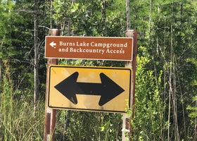 Burns Lake - Big Cypress National