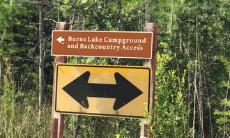 Burns Lake - Big Cypress National