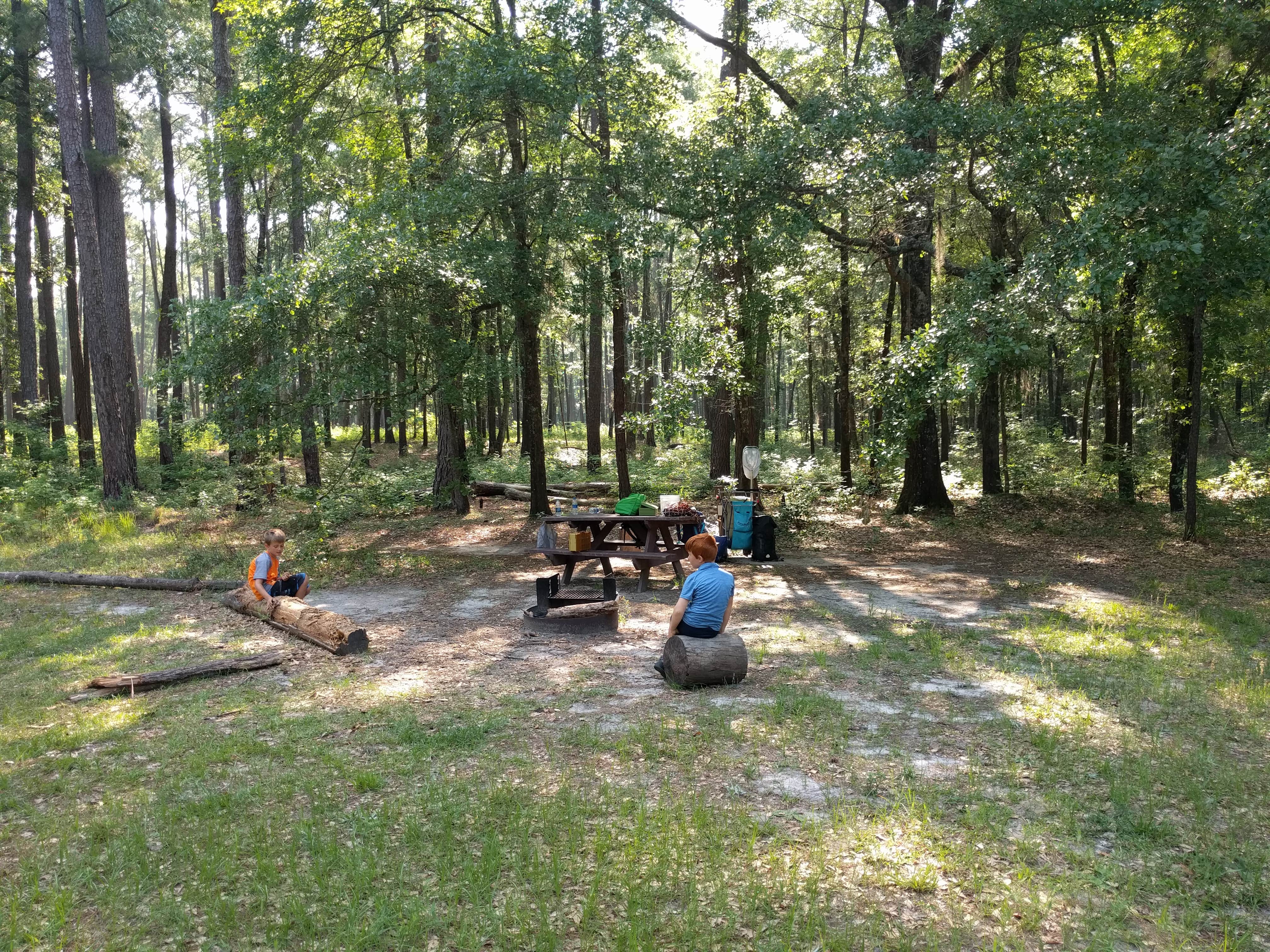 Courtney B.'s photo at Longleaf Campground — Congaree National Park near Wedgefield, SC