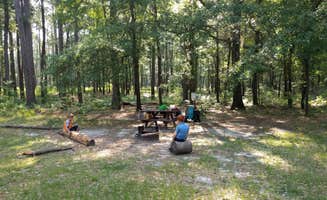Courtney B.'s photo at Longleaf Campground — Congaree National Park near Blythewood, SC