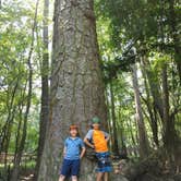 Review photo of Longleaf Campground — Congaree National Park by Courtney B., May 26, 2019