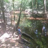 Review photo of Longleaf Campground — Congaree National Park by Courtney B., May 26, 2019