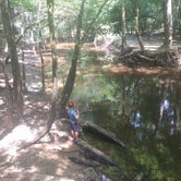 Review photo of Longleaf Campground — Congaree National Park by Courtney B., May 26, 2019