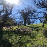 Review photo of Mt. Figueroa Campground by Keisha M., May 26, 2019