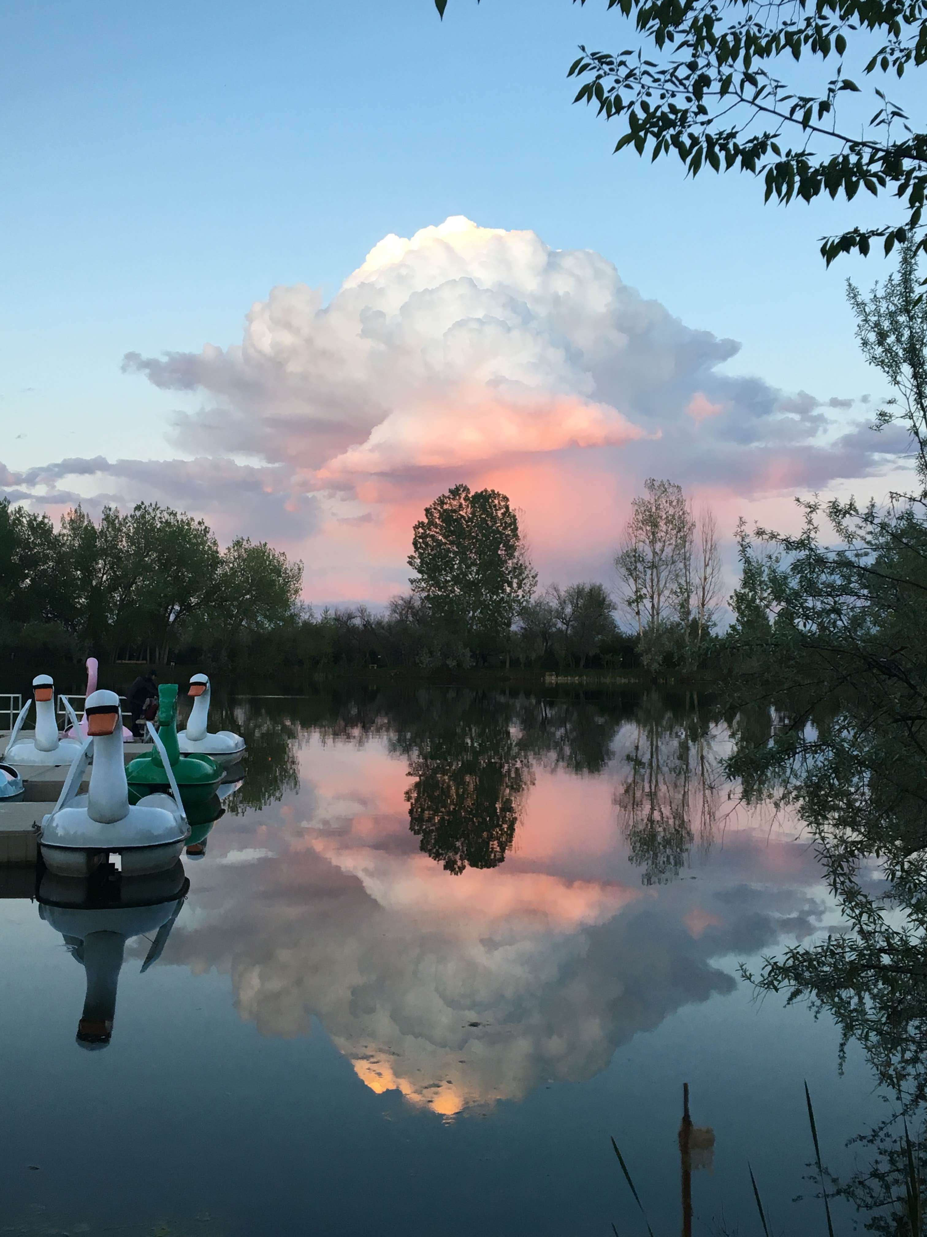 Camper submitted image from Fort Collins Lakeside KOA - 2