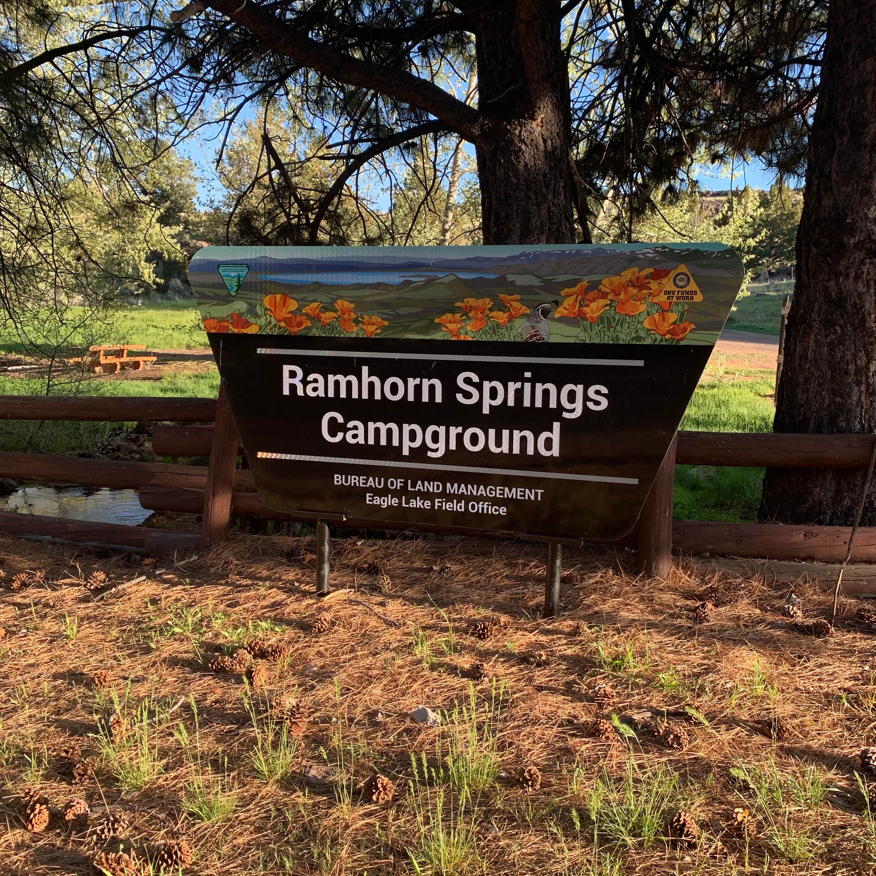 Camper submitted image from Ramhorn Springs Campground - 3
