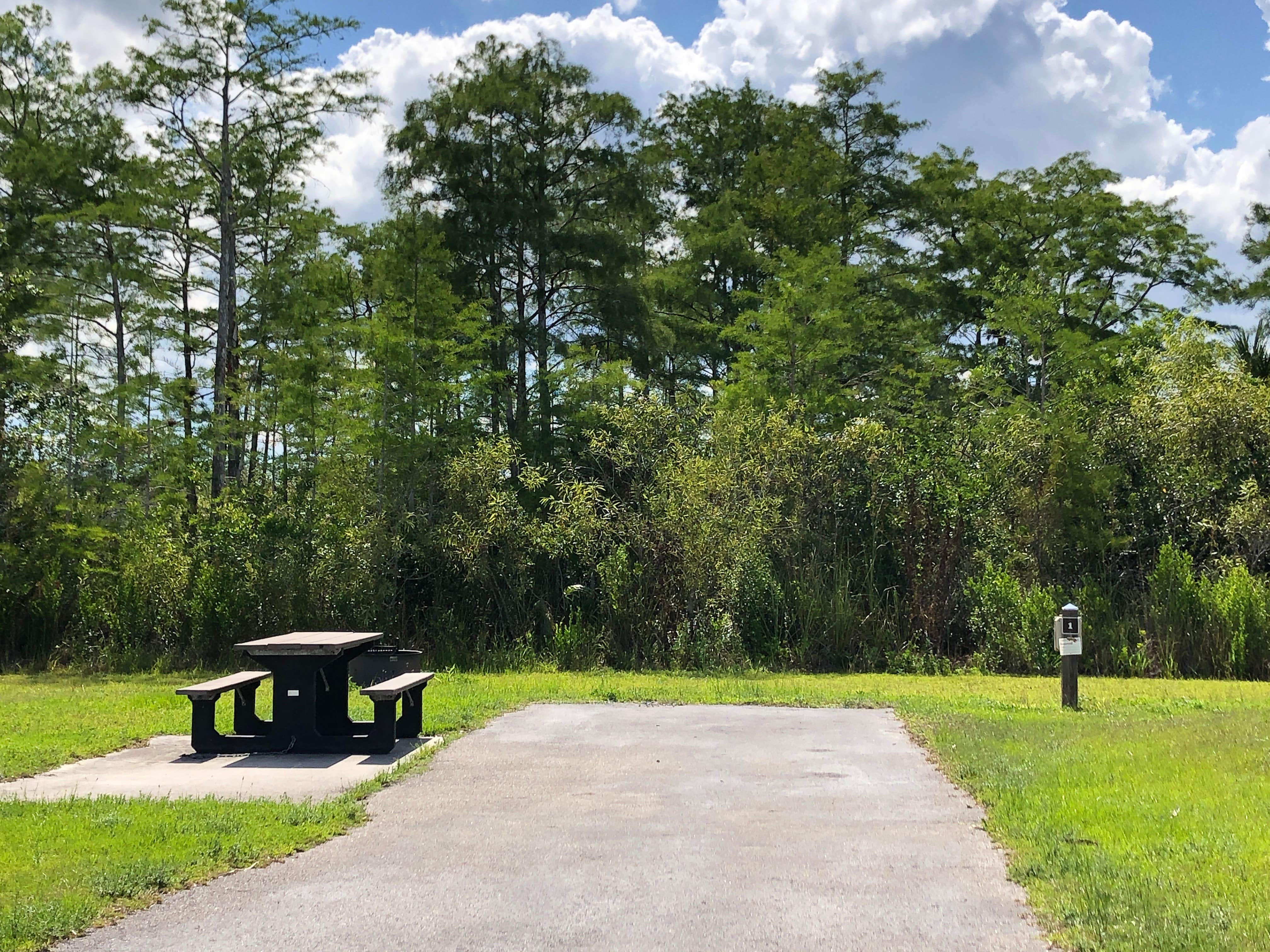 Camper submitted image from Midway Campground — Big Cypress National Preserve - 3