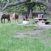 Review photo of Oak Grove Campground by Brianna B., May 26, 2019