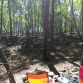Review photo of Uwharrie National Forest by Erica , May 26, 2019