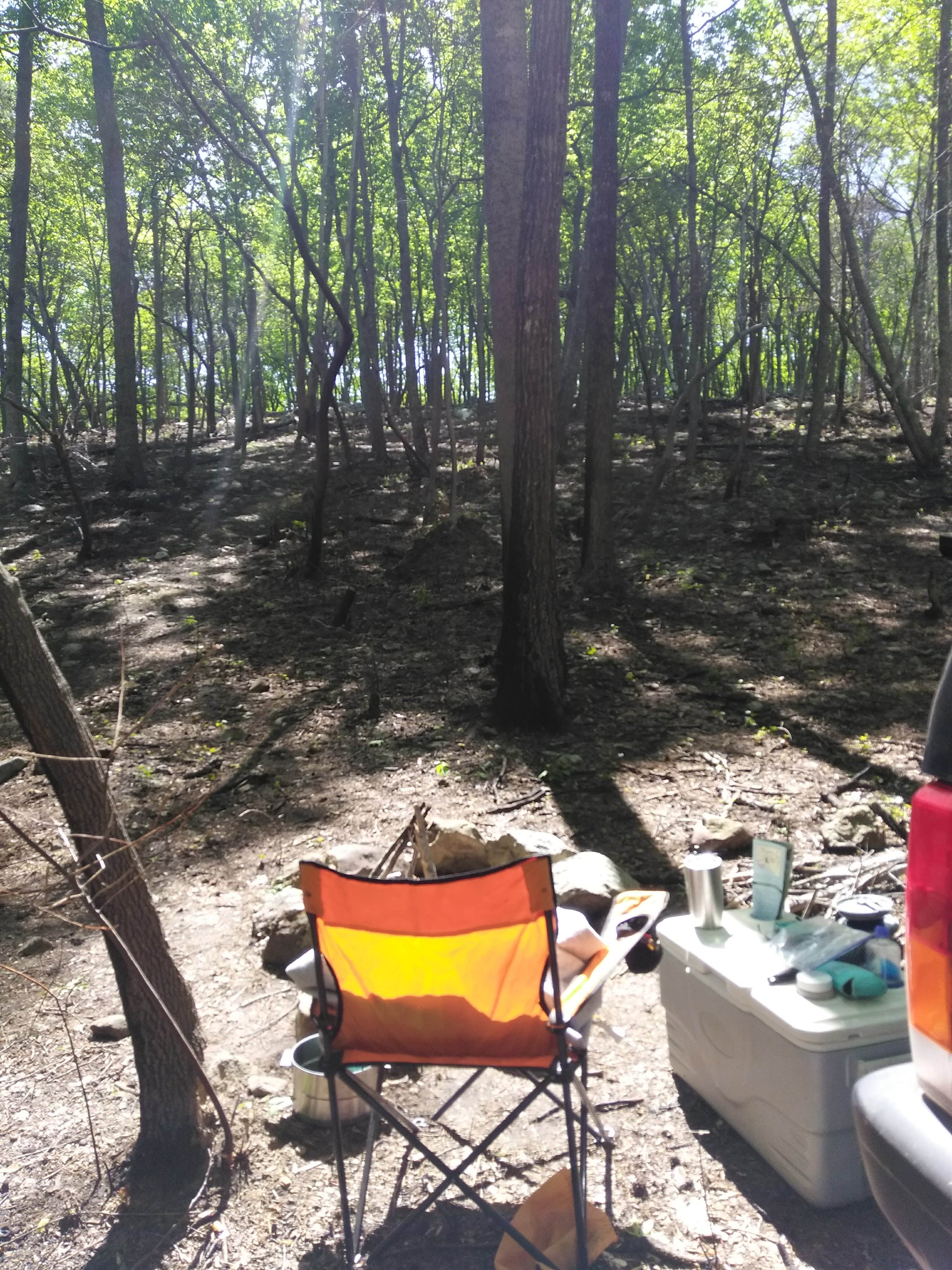 Camper submitted image from Uwharrie National Forest - 5