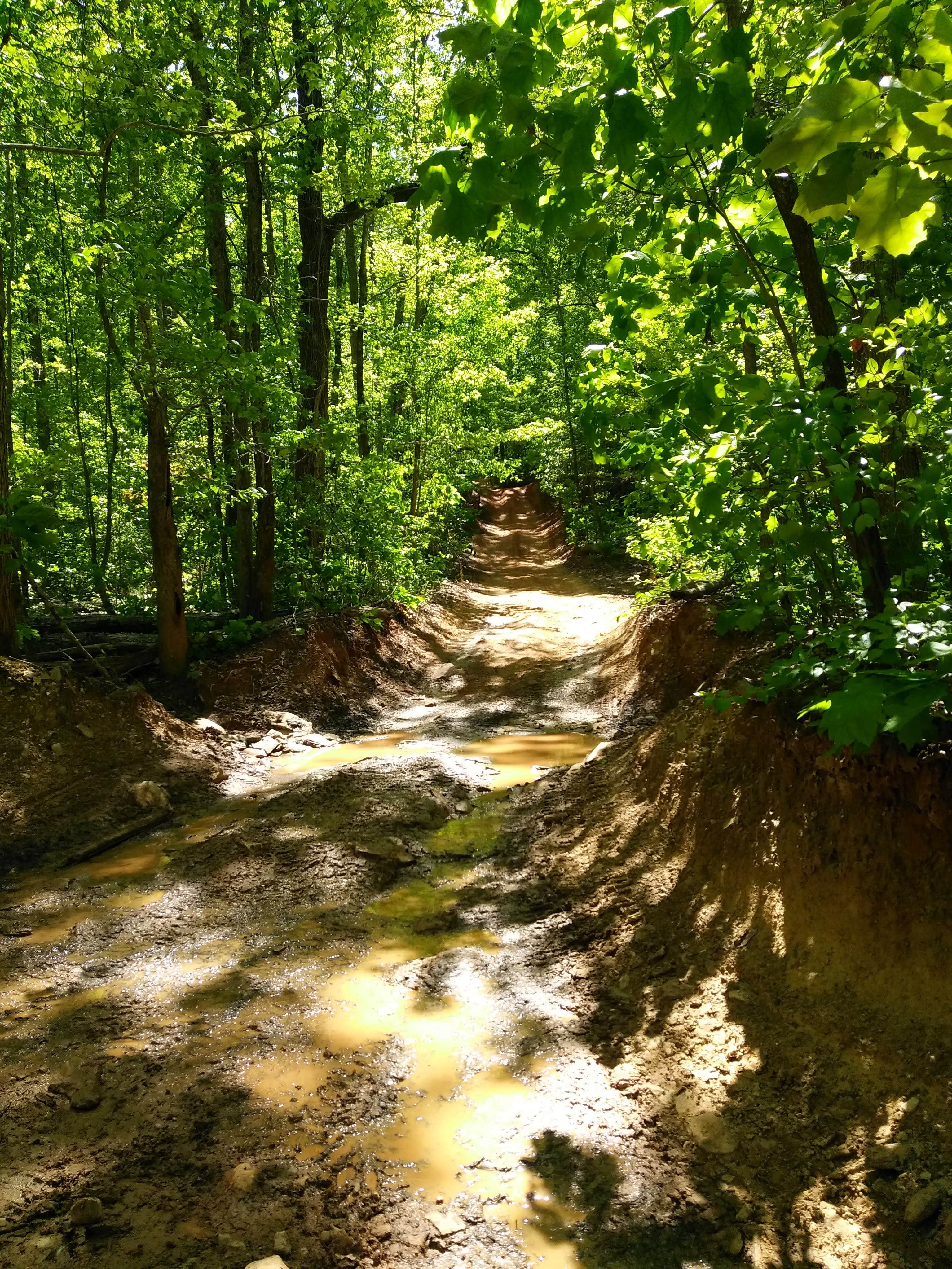 Camper submitted image from Uwharrie National Forest - 4