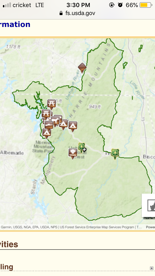 Camper submitted image from Uwharrie National Forest - 4