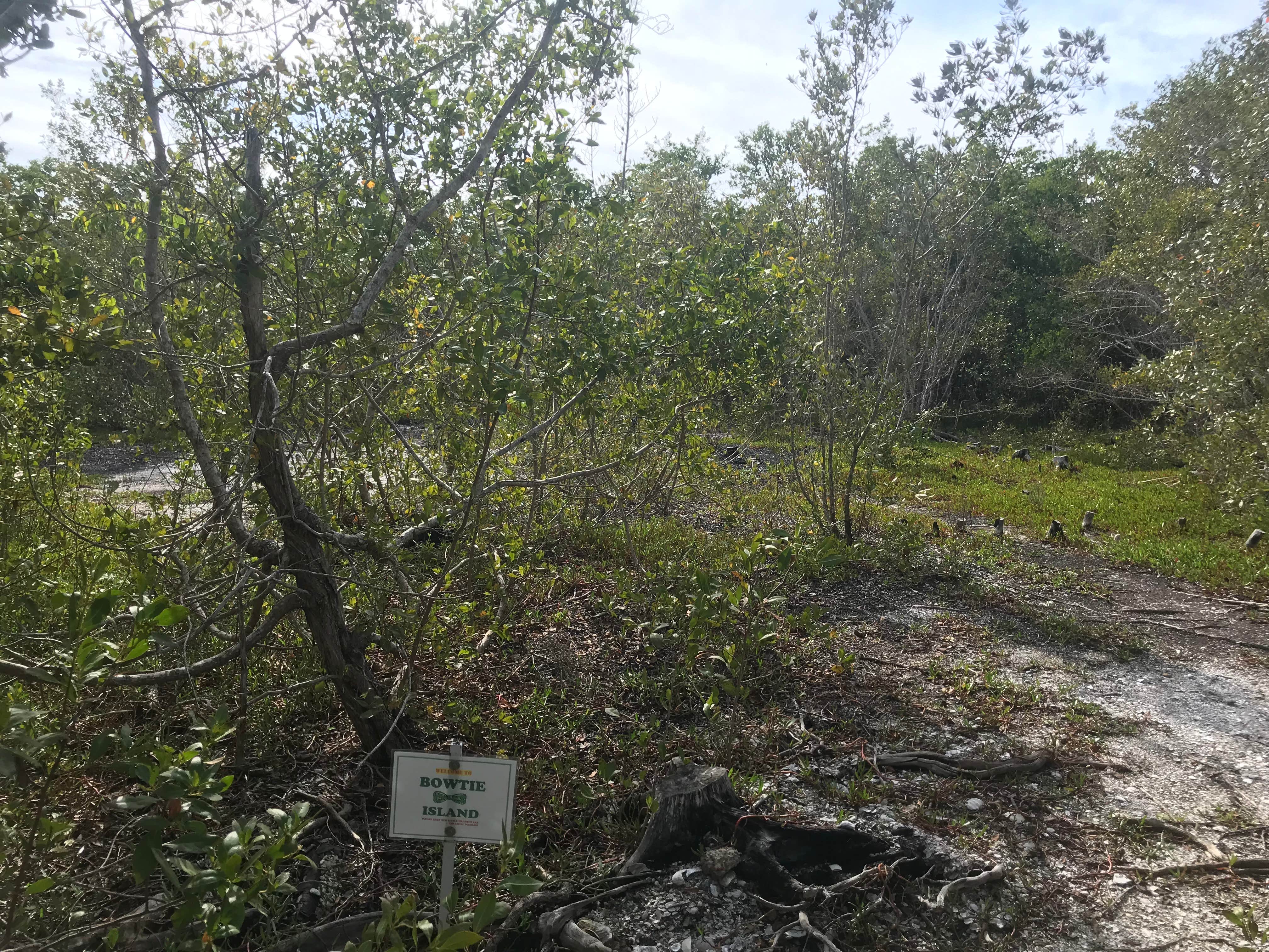 Camper-submitted photo at Bow-tie Island Primitive Campsite near Bokeelia, FL