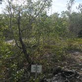 Review photo of Bow-tie Island Primitive Campsite by Dave V., May 24, 2019