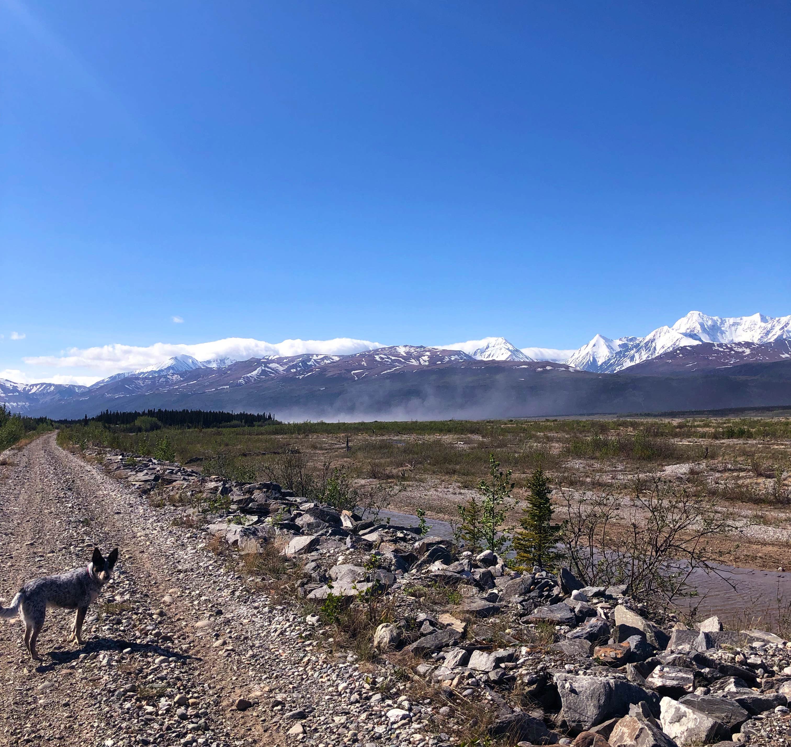Camper-submitted photo at Donnelly Creek State Rec Area near Fort Greely, AK