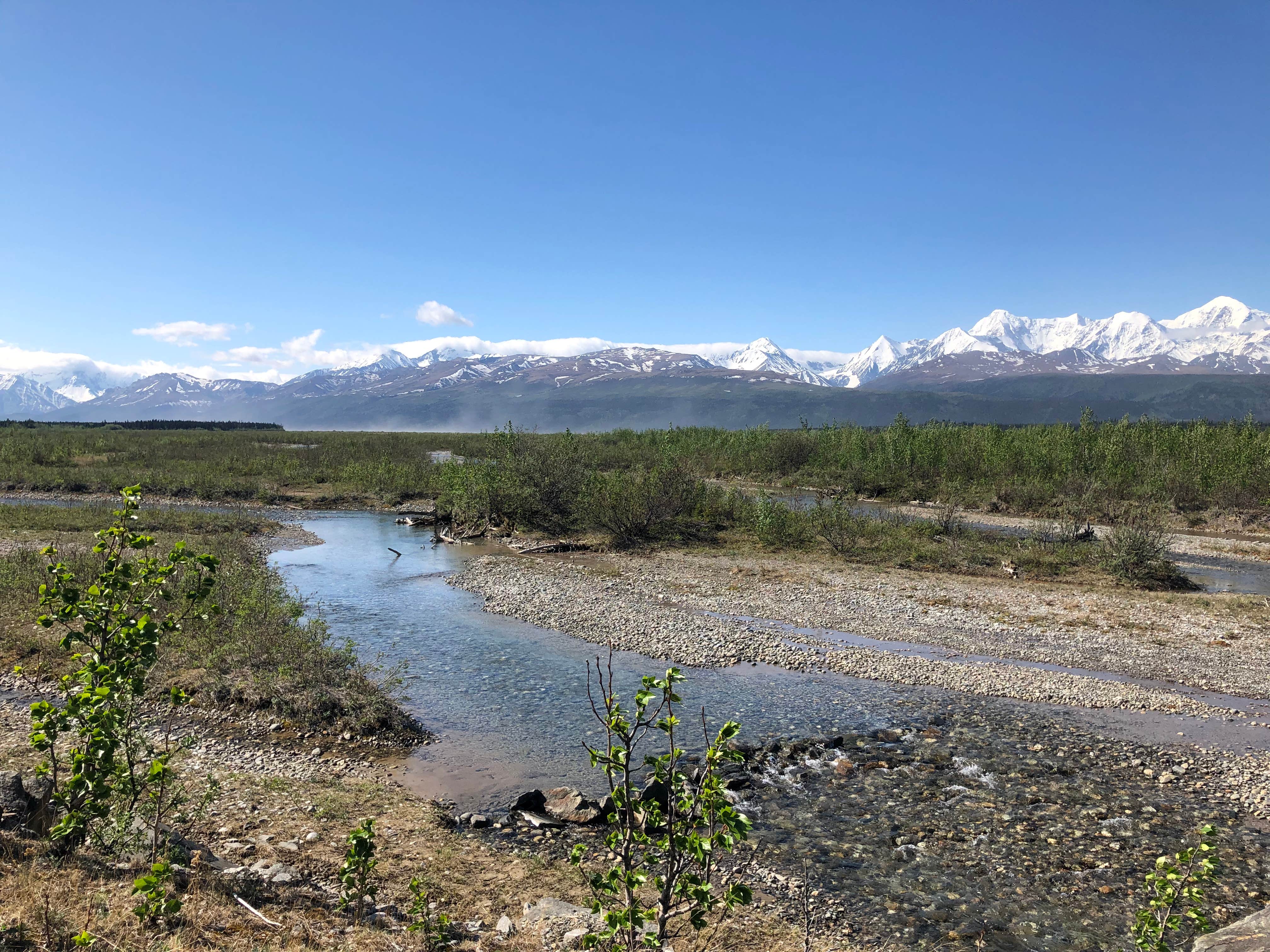 Camper submitted image from Donnelly Creek State Rec Area - 5