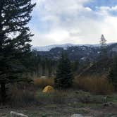 Review photo of Blue River Campground (Co) — White River National Forest by Ralitsa K., May 26, 2019