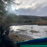 Review photo of Blue River Campground (Co) — White River National Forest by Ralitsa K., May 26, 2019