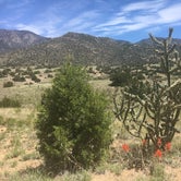 Review photo of Albuquerque Central KOA by Mike M., May 26, 2019