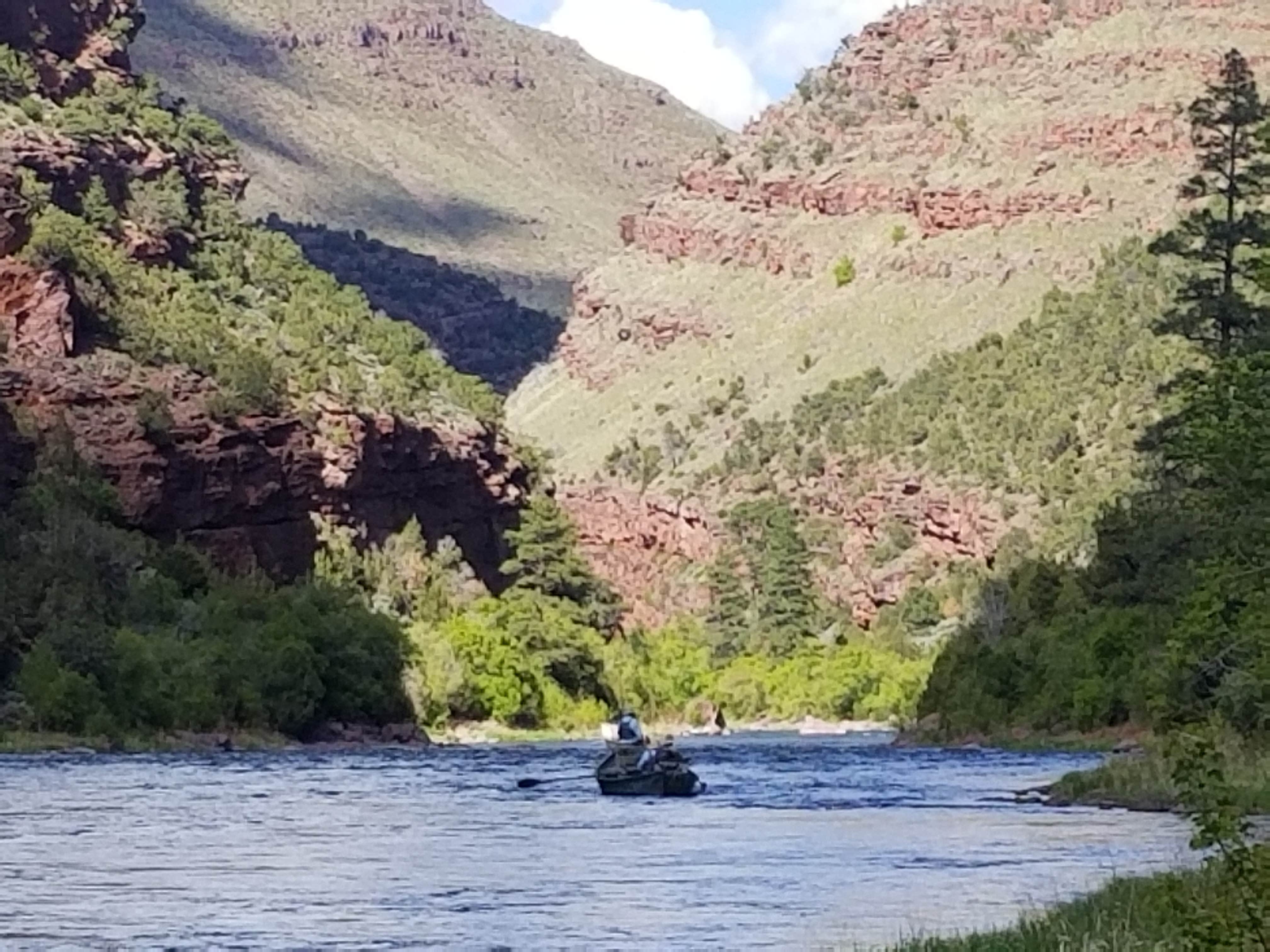 Camper submitted image from Dripping Springs Campground (UT) - 5