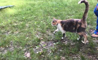 Gwenn W.'s photo of camping with pets at Silver Mines near Bonne Terre, MO