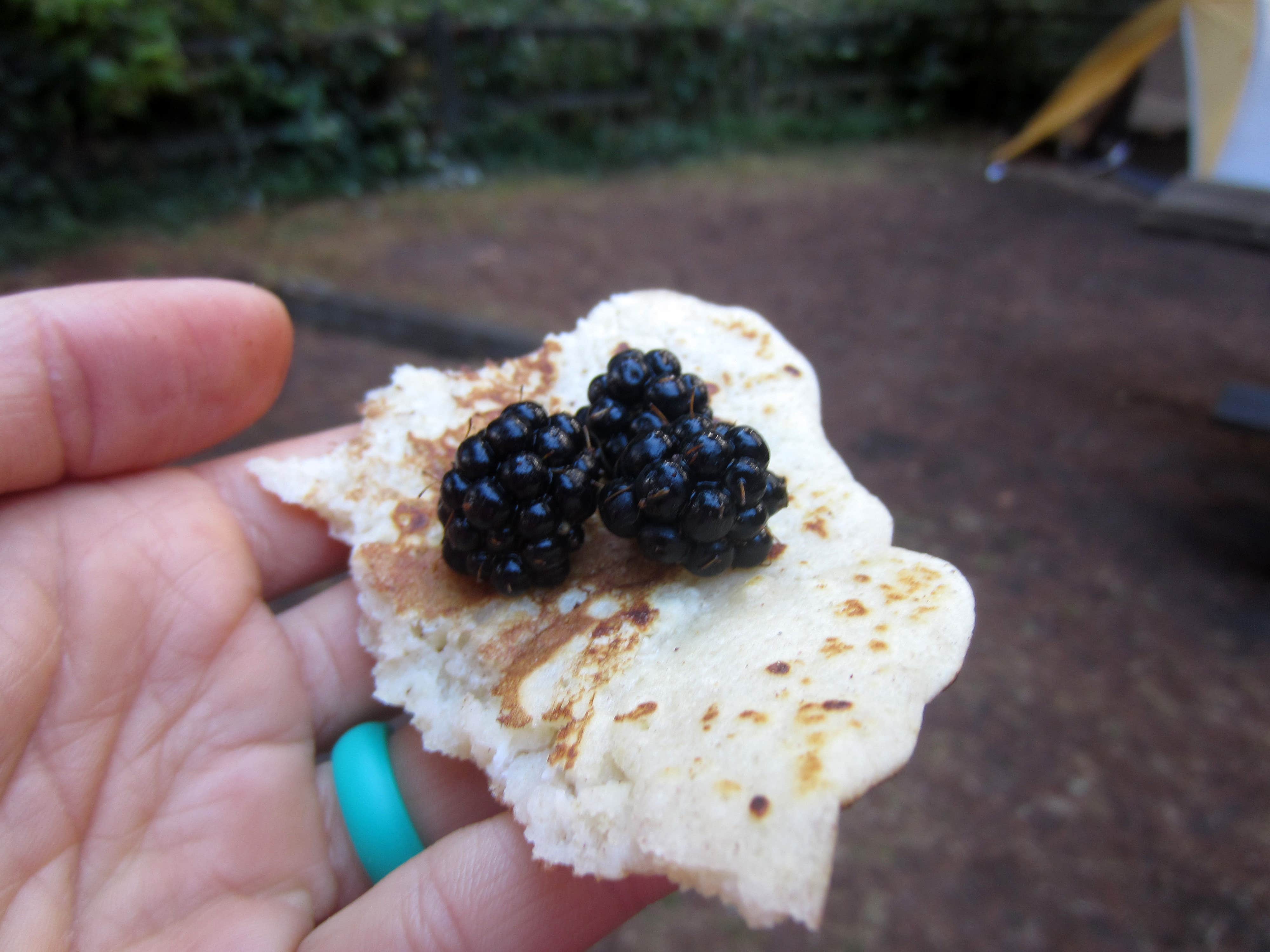 Camper-submitted photo at Sunset Bay State Park Campground near Bandon, OR