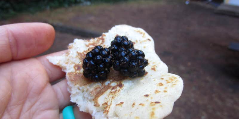 Camper submitted image from Sunset Bay State Park Campground