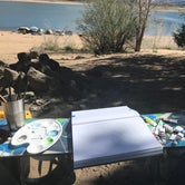 Review photo of Home Mountain Reservoir SWA - Dispersed Campsites by Maggie M., May 26, 2019