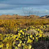 Review photo of Interior Primitive Sites — Big Bend Ranch State Park by Steve & Ashley  G., May 26, 2019