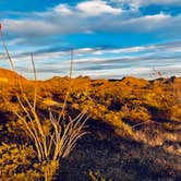 Review photo of Interior Primitive Sites — Big Bend Ranch State Park by Steve & Ashley  G., May 26, 2019