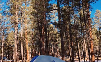 Manuel R.'s photo at Clints Well Campground near Happy Jack, AZ