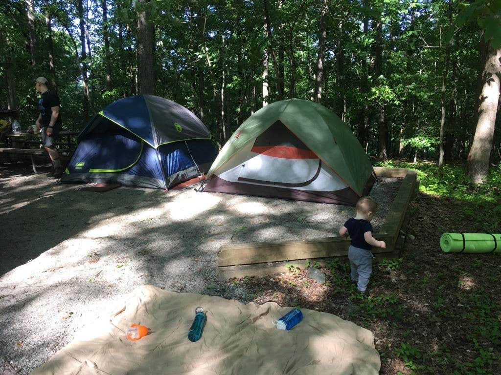 Chris F.'s photo at Hollofield Area Campground near Long Green, MD