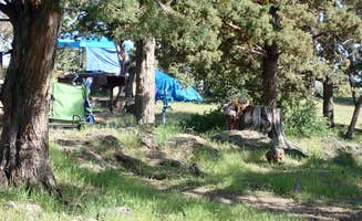 Mack S.'s photo at Indian Well Campground — Lava Beds National Monument near Dorris, CA