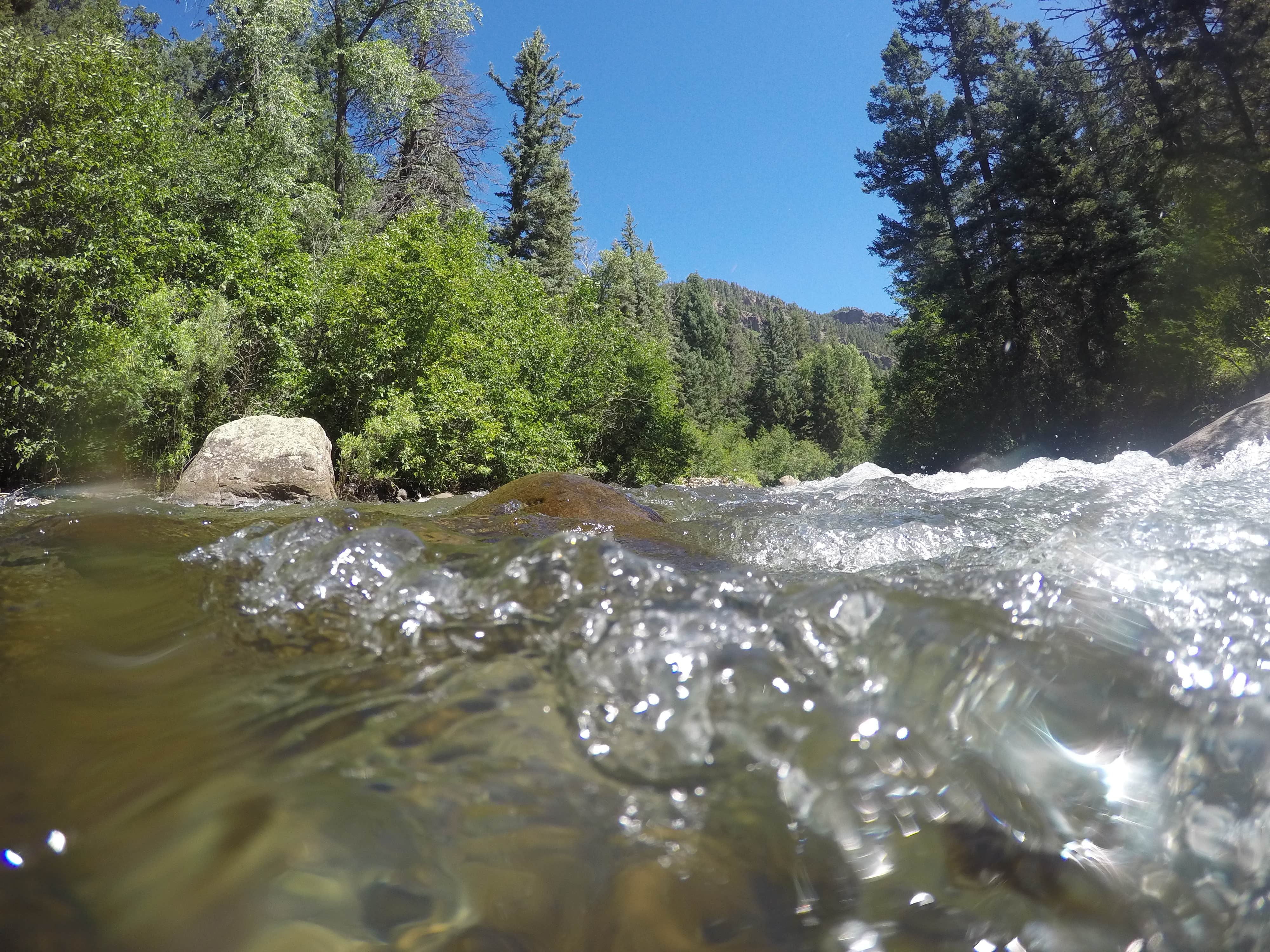Camper submitted image from East Fork Campground - 5