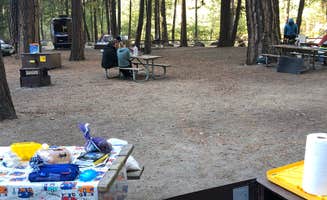Sarah F.'s photo at North Pines Campground — Yosemite National Park near Yosemite National Park