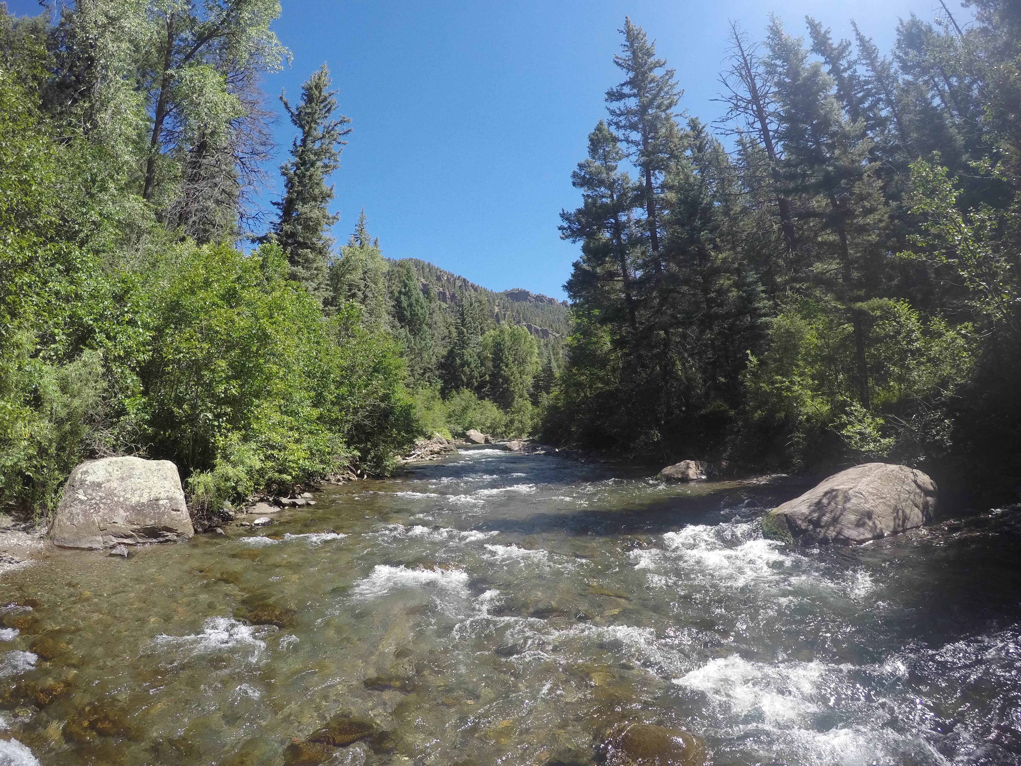East Fork Campground Pagosa Springs, CO