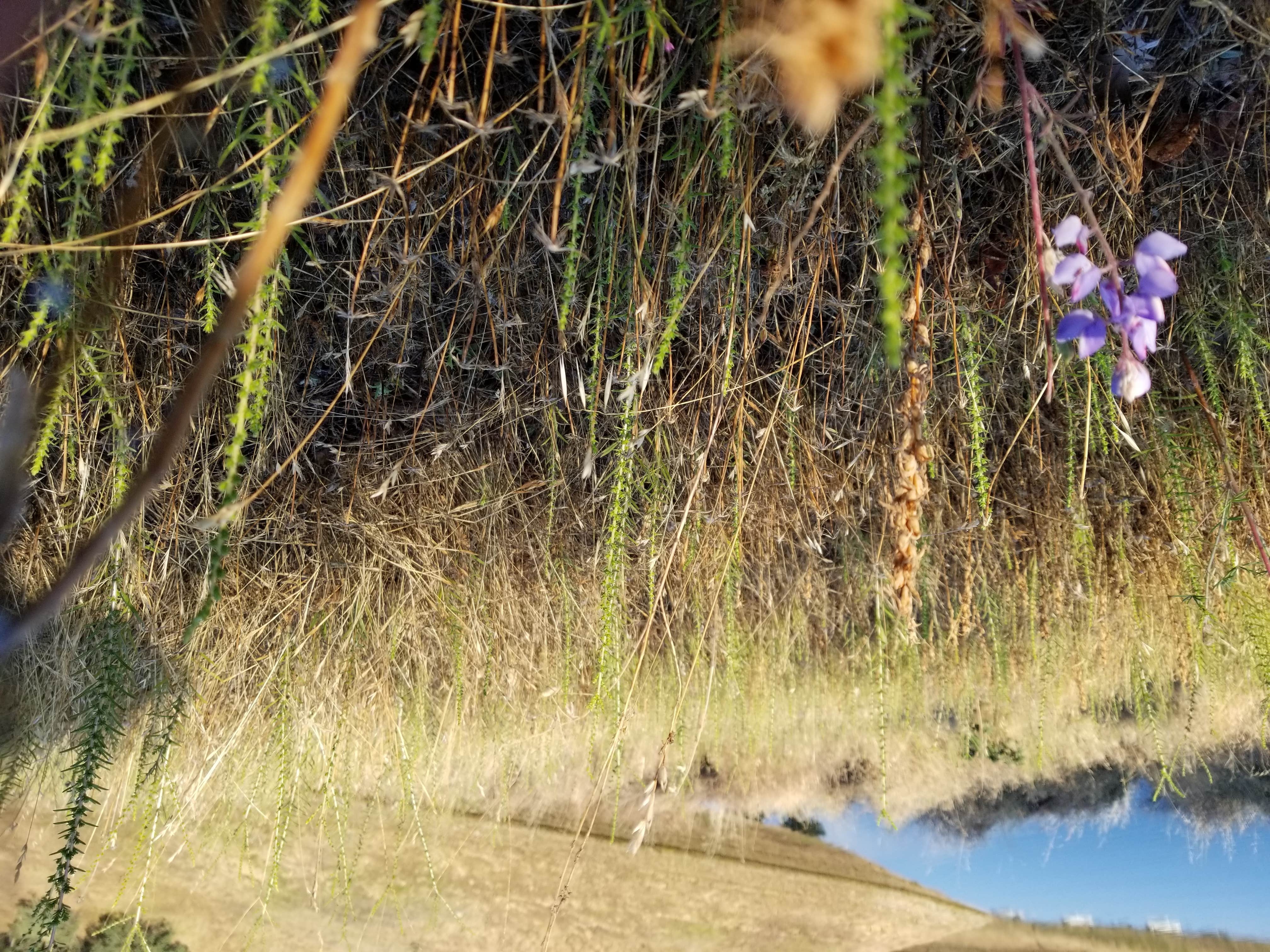 Camper-submitted photo at McClure Point Recreation Area near Atwater, CA