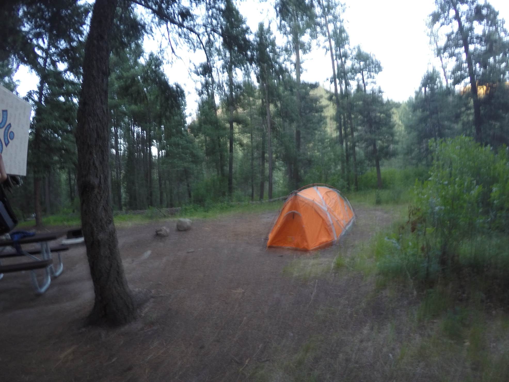 East Fork Campground The Dyrt