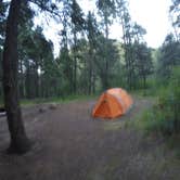 Review photo of East Fork Campground by Mike B., August 30, 2016